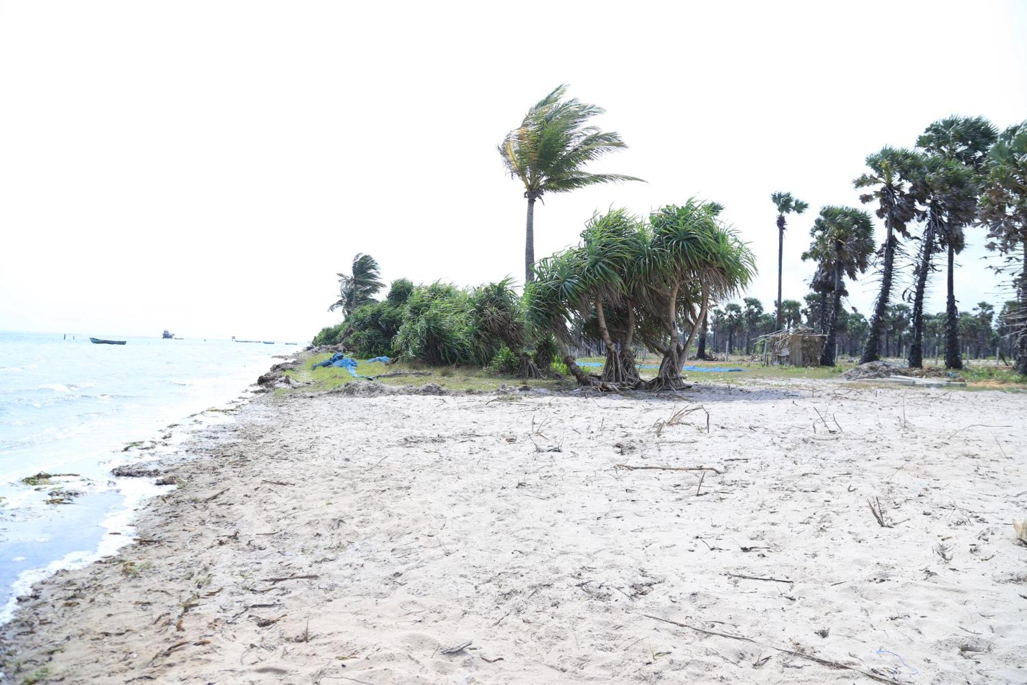 Palm Beach Resort Ceylon Dżafna Zewnętrze zdjęcie