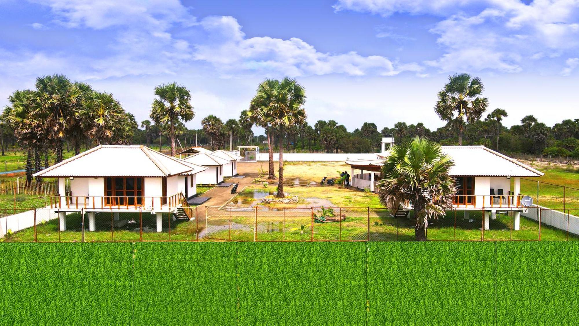 Palm Beach Resort Ceylon Dżafna Zewnętrze zdjęcie